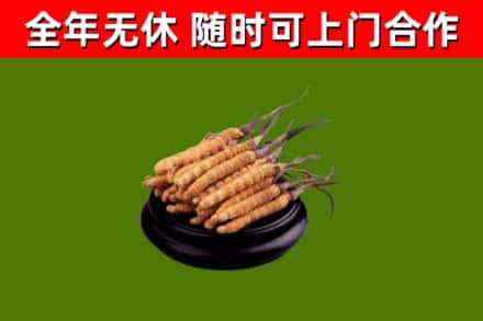 铁岭市烟酒回收冬虫夏草.jpg